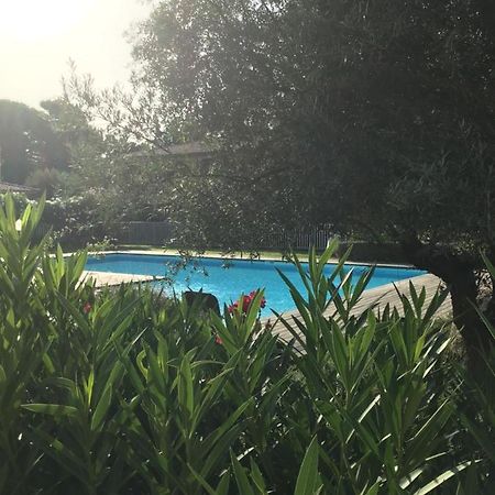Ferienwohnung Appt T2 Standing avec Piscine et Terrasse Porto-Vecchio  Exterior foto
