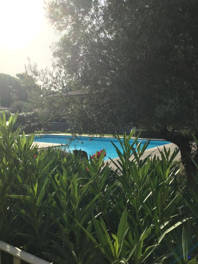 Ferienwohnung Appt T2 Standing avec Piscine et Terrasse Porto-Vecchio  Exterior foto
